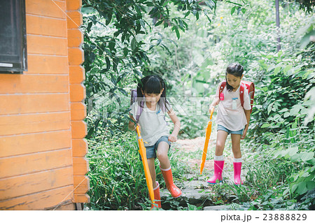 primary school child 23888829