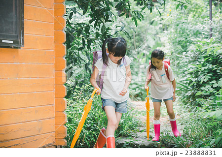 primary school child 23888831