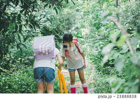 primary school child 23888838