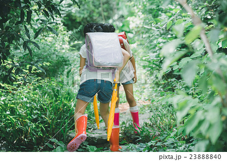 primary school child 23888840