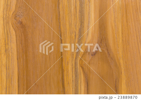 wood texture background 23889870