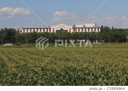 柳月ファクトリー 柳月ファクトリー 23889964