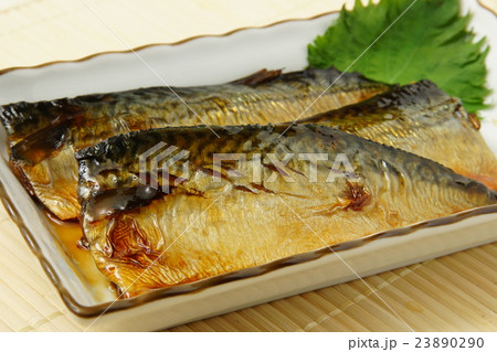 鯖の照り焼き 鯖の照り焼き 23890290