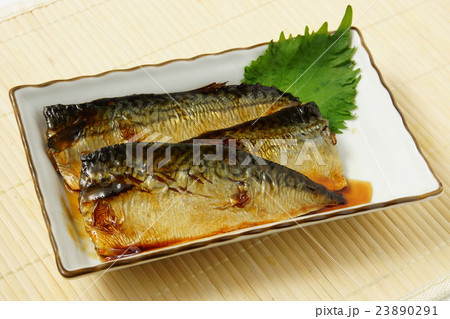 鯖の照り焼き 鯖の照り焼き 23890291