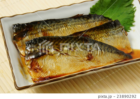 鯖の照り焼き 鯖の照り焼き 23890292