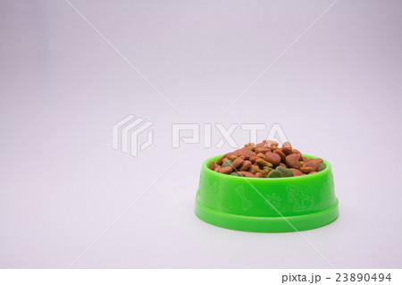 Bowl of dog food On white background Bowl of dog food On white background 23890494