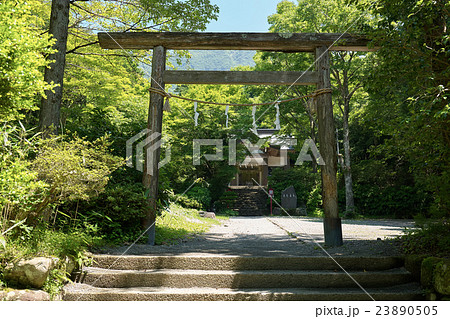 公時神社（金時神社）、第三の鳥居から拝殿を望む、箱根、神奈川県 23890505