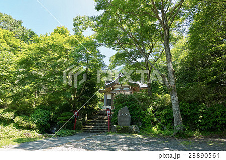 鬱蒼とした樹木に囲まれた境内、公時神社(金時神社)、箱根、神奈川県 鬱蒼とした樹木に囲まれた境内、公時神社(金時神社)、箱根、神奈川県 23890564