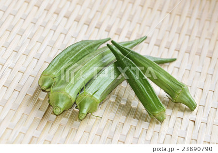 オクラ オクラ 23890790