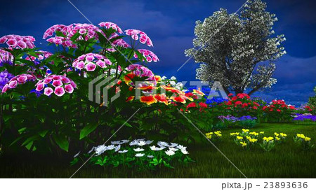 Summer wildflowers on meadow 3d rendering 23893636