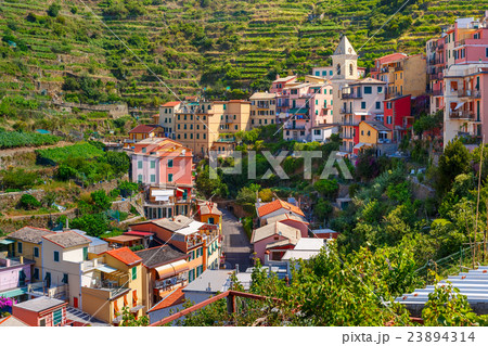 Panorama of Manarola, Cinque Terre, Liguria, Italy Panorama of Manarola, Cinque Terre, Liguria, Italy 23894314
