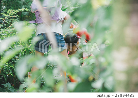 primary school child primary school child 23894435