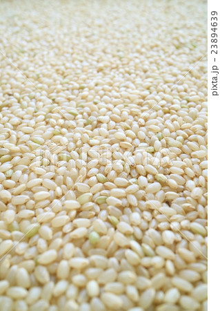 玄米　ミルキークイーン　縦３ 23894639