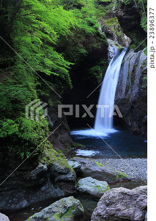 大釜の滝(徳島県) 大釜の滝(徳島県) 23896377