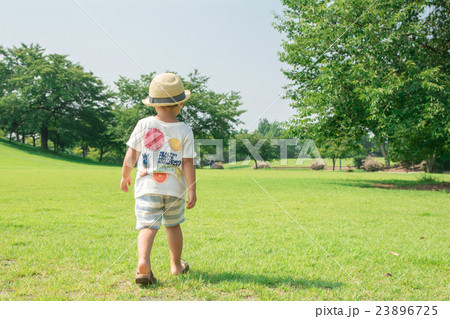 夏の公園 23896725