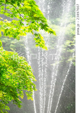 加茂山公園の噴水 加茂山公園の噴水 23897607