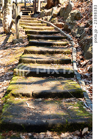 木漏れ日の石階段 23898383