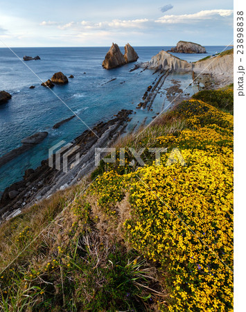 Blossoming Arnia Beach evening coastline landscape Blossoming Arnia Beach evening coastline landscape 23898838