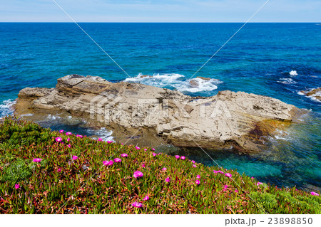 Atlantic blossoming coastline (Spain). 23898850