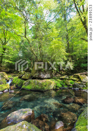 菊池渓谷 23899153