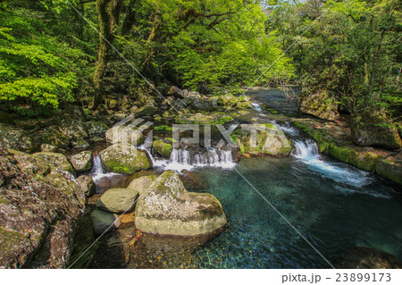 菊池渓谷 23899173