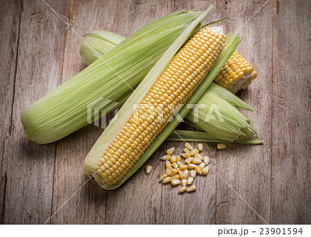 Fresh corn on  wooden table 23901594
