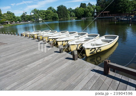 公園のボート乗り場 23904596