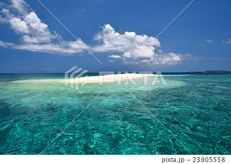 真夏のバラス島 23905558