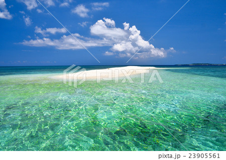 真夏のバラス島 23905561