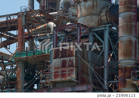 プラント 23906113