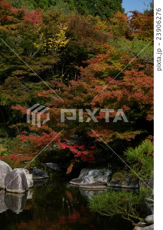 三景園２０１５紅葉その１９ 23906276