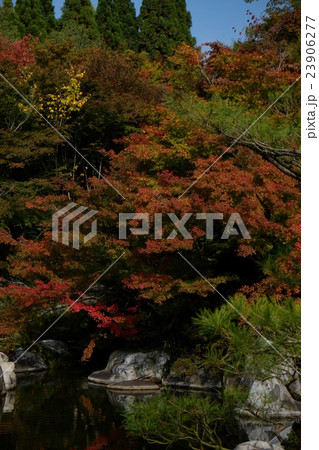 三景園２０１５紅葉その２０ 23906277