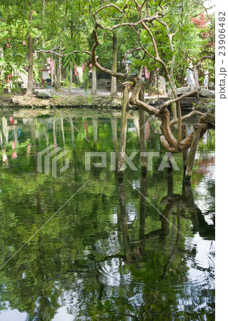 出流原弁天池 出流原弁天池 23906482