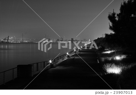 夜のベイエリアの風景 23907013