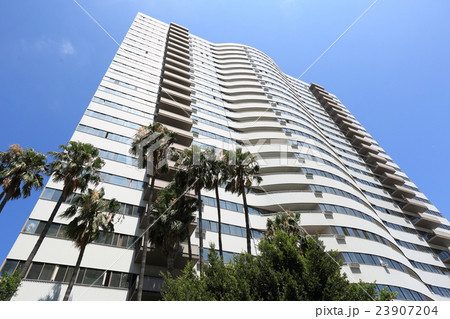 ロサンゼルスのマンション 23907204