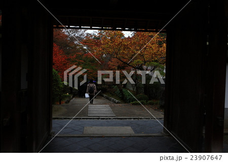 高徳庵の紅葉 高徳庵の紅葉 23907647