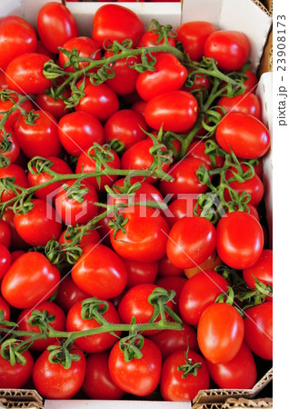 シラクーサのオルティージャ・ストリート・マーケット 23908173