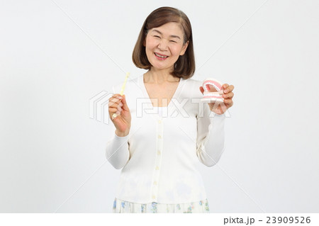 シニアと歯の健康 シニアと歯の健康 23909526