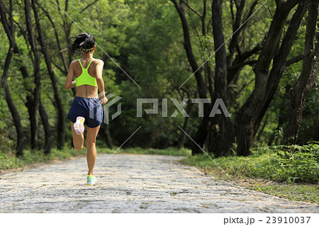 young woman trail runner running at forest trail young woman trail runner running at forest trail 23910037