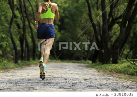 young woman trail runner running at forest trail young woman trail runner running at forest trail 23910038