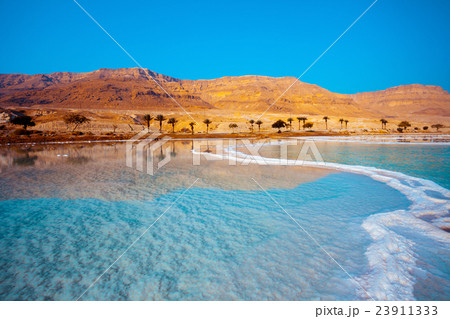 Dead Sea seashore with palm trees and mountains 23911333