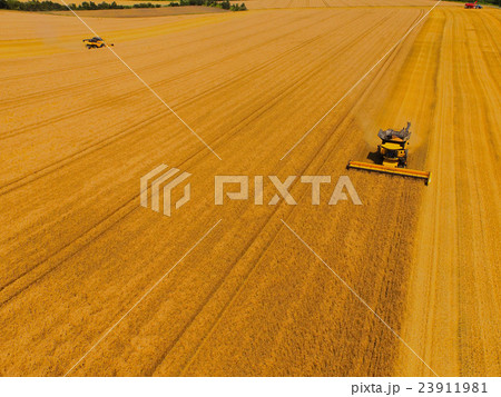 北海道産小麦「ゆめちから」の収穫 北海道産小麦「ゆめちから」の収穫 23911981