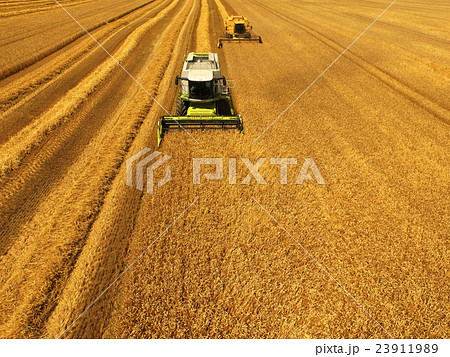 北海道産小麦「キタノカオリ」の収穫 北海道産小麦「キタノカオリ」の収穫 23911989