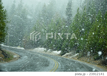 Early spring in Rocky Mountains, Coloradu,USA 23912141