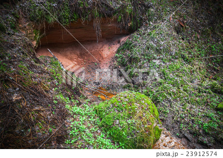 Small forest stream flowing from a spring Small forest stream flowing from a spring 23912574