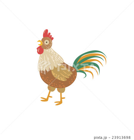 Rooster With Green Tail Standing Rooster With Green Tail Standing 23913698