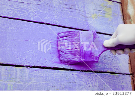 hand painting violet wooden wall 23913877