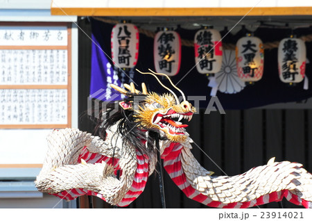 龍踊り 23914021