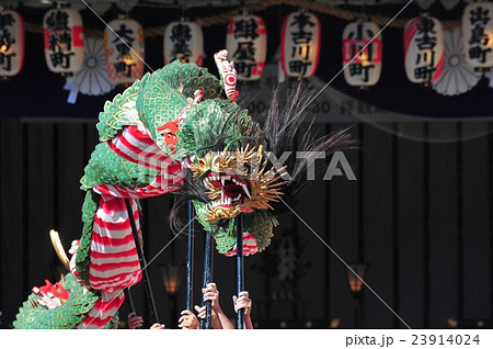 龍踊り 23914024