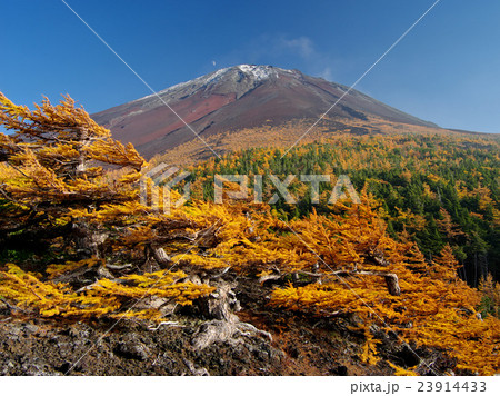 奥庭の秋富士 奥庭の秋富士 23914433